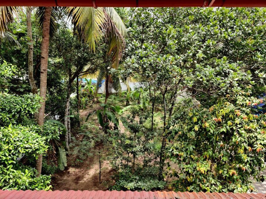 Anandam Stays - Premium 3Bhk Plush Homestay, Vaikom Near Kumarakom Exteriér fotografie
