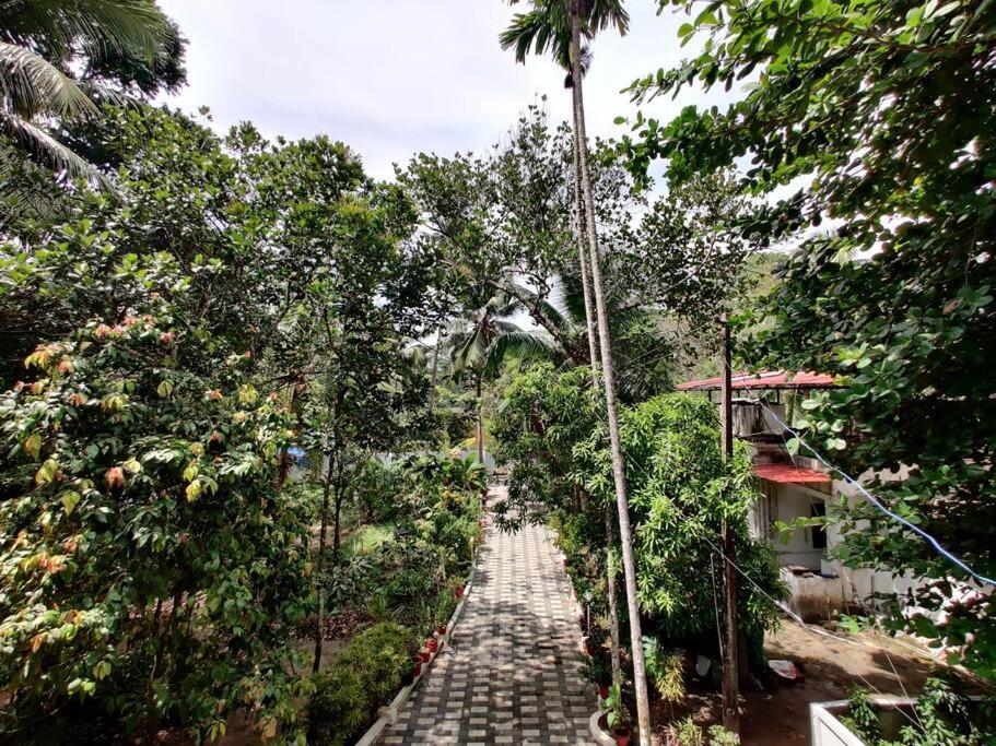 Anandam Stays - Premium 3Bhk Plush Homestay, Vaikom Near Kumarakom Exteriér fotografie